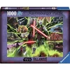 Image de Nathan kinderpuzzel 150 stukjes Woody en zijn vrienden/Toy Story - Leeftijd 7+ - Superieure kwaliteit - Dik en stevig karton - Pixar - 120042