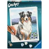 Image de Ravensburger CreArt 12023114 - Australian Shepherd Merlin - Malen nach Zahlen ab 12 Jahren Physical