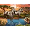 Image de Ravensburger Zebra´s bij de drinkplaats