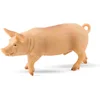 Image de Bullyland 62310   Speelfiguur en verzamelfiguur Wild Zwijn   ca. 6 cm   levensecht en detailrijk vormgegeven   ideaal als educatief speelfiguur en klein cadeautje voor kinderen vanaf 3 jaar.