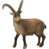 Image de Bullyland 62755   Speelfiguur Steenbok   ca. 9cm   levensecht en detailrijk vormgegeven   ideaal als educatief speelfiguur, decoratie of klein cadeautje voor kinderen vanaf 3 jaar