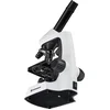 Image de Bresser Junior Microscoop 40x-2000x