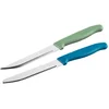 Image de Nirosta 43999 Set 2 officemes en ontbijtmessen 22,5 cm, Getand en Glad lemmet, voor Groenten Fruit en Kazen, Broden, Banket, Antislip Handvat, Roestvrij Staal, PP, Blauw, Groen