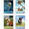 Image de Herlitz 494419 schrijfblok & schrift A4 20 vel Meerkleurig