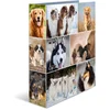 Image de Ordner A4 Hunde