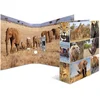 Image de HERMA map A4 Afrika Tiere