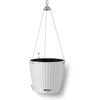 Image de LECHUZA NIDO Cottage 28 - Plantenbak - met uitneembare binnenbak - met bewateringssysteem - ALL-IN-ONE set met LECHUZA-PON - wit