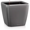 Image de LECHUZA QUADRO Premium LS 21 - Plantenbak - met uitneembare binnenbak - met bewateringssysteem - ALL-IN-ONE set met LECHUZA-PON - antraciet metallic