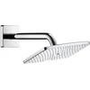 Image de Hansgrohe Douchekop Raindance E Air
