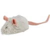 Image de Trixie Active - Mouse - Beweegt uit zichzelf - Reageert op aanraking - 8 cm