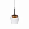 Image de Q-KON hanglamp Glas, LED 2700-5000K, Dimbaar, Zwart, Paul Neuhaus