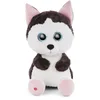 Image de Nici pluchen knuffel husky Barkley 45cm - Glubschis knuffeldier.
