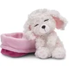 Image de Nici Poodle Hond Slaapt In Mand Teddy 12 Cm Beige Kinderen
