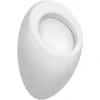 Image de LAUFEN Alessi één zuigurinoir, zonder gaten voor dekselmontage, zonder gulp, 325x290mm, H8409754000001