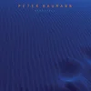 Image de Peter Baumann - Nightfall (LP)