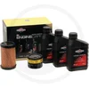 Image de Onderhoudsset voor zitmaaiers Serie 4, model 31 BRIGGS & STRATTON