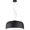 Image de TRIO BARON - Hanglamp - Mat zwart - E27 - Binnenverlichting