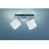 Image de REALITY TOMMY Spot - Nikkel mat - excl. 2x E14 - Wit
