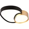 Image de TRIO RISE - Plafondlamp - Zwart goud - incl. 1x SMD 21W - Geintergreerde dimmer - Memory functie - Lichtkleur instelbaar