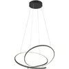 Image de TRIO DARVIN - Hanglamp - Zwart mat - incl. 1x SMD 52 W - Dimbaar met schakelaar - Plafondbevestiging - Niet geschikt voor externe dimmer - In hoogte verstelbaar - DIP - Schakelaar