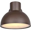 Image de TRIO ELBE - Wandlamp - Roestkleur - excl. 1x E27 4,9 W - Wandmontage - Buitenverlichting - IP44