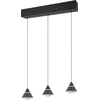 Image de TRIO ROMEO - Hanglamp - Zwart mat - incl. 3x SMD 7 W - Plafondbevestiging - Traploos in hoogte verstelbaar - DIP - Schakelaar - Niet dimbaar