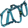 Image de Kerbl Miami Hondenharnas Blauw 20 mm x 48-70 cm