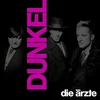 Image de Die Arzte - Dunkel (LP)