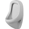 Image de Duravit Duraplus Ben Urinoir Achterinlaat 37x35cm Wit