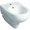 Image de Geberit Renova wandbidet: T=55cm, overloop=zichtbaar, symmetrisch, wit, 233040000
