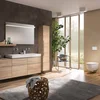 Image de Geberit Icon Closet 201950000