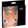 Image de Nipple Jewellery Silver Chain
