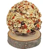 Image de JR Farm Fruitboom