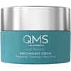 Image de QMS Antioxidant Day & Night Cream   50ml   Hydraterende en Beschermende Gezichtscrème   Met 3 QMS Samples