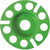 Image de Eibenstock Hardmetaalschijf 100 mm - 12.325.50