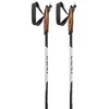 Image de Leki Alpino Xta Base Stokken Zilver 145 cm
