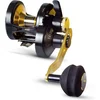 Image de Black Cat Battle Cat Vertical 710 LH