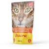 Image de Josera Kippensoep - Aanvullend Natvoer Katten - Wortel, Spinazie, 70gr