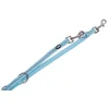 Image de Nobby Soft Grip Verstelbare Hondensnoer XS 10mm/200cm Mintgroen