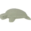 Image de Laessig Turtle Badspeeltje