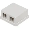 Image de Uitvoerdoos voor 2 Keystone modules / wit
