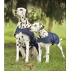 Image de Regendeken Hond Maat 35 cm