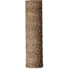 Image de EBI Reserve Stam voor Krabpaal Curacao en Grenada - Waterhyacint - M10 - 9x48cm