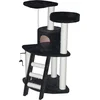 Image de KRABPAAL CLASSICTREE CATAR