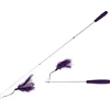 Image de Fishing Rod TELESCOPE purple/white