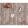 Image de BOERDERIJDIEREN BEHANG | Kinderkamer - bruin - A.S. Création Little Stars
