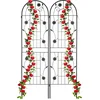 Image de plantenklimrek set van 2 - 180 x 50 cm - klimplanten - metaal - zwart