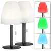 Image de Tafellamp dimbaar buitenverlichting LED tafellamp tuinlamp op batterijen, terrasverlichting met RGB-kleurverandering, 1,5W 170lm warm wit, DxH 14 x 30 cm, set van 2