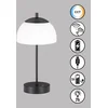 Image de FHL easy! Riva - Tafellamp oplaadbaar - USB-C - 2W LED (incl.) - Dimbaar - Warm tot koel wit licht - Ø18cm, H:35cm - Opaal glas met zwarte Voet - Halfrond