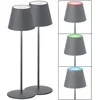 Image de LED tafellamp tafellamp buitenlamp tuinlamp oplaadbare batterij RGB kleurverandering decoratieve lamp, 2W 270lm warm wit, DxH 12 x 38 cm, set van 2